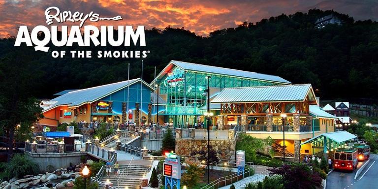 Modern Style, Arcade, Fire Pit, Pet Friendly Villa Pigeon Forge Buitenkant foto
